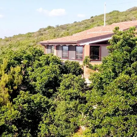 Luna E' Pedra - In Con Vista Sulla Baia Di E Piscina Альгеро